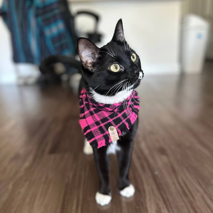 The Luminous Pets - Vendita all'ingrosso Bandana - Cani - Bandana a Quadri Rosa | Bandana per Gatti e Cani | Bottoni a Pressione Regolabili5