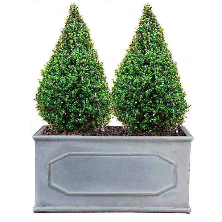 Idealist Lite Fibrestone Planters - Vendita all'ingrosso Fioriere - IDEALIST - Fioriera in finto piombo Chelsea, colore grigio chiaro