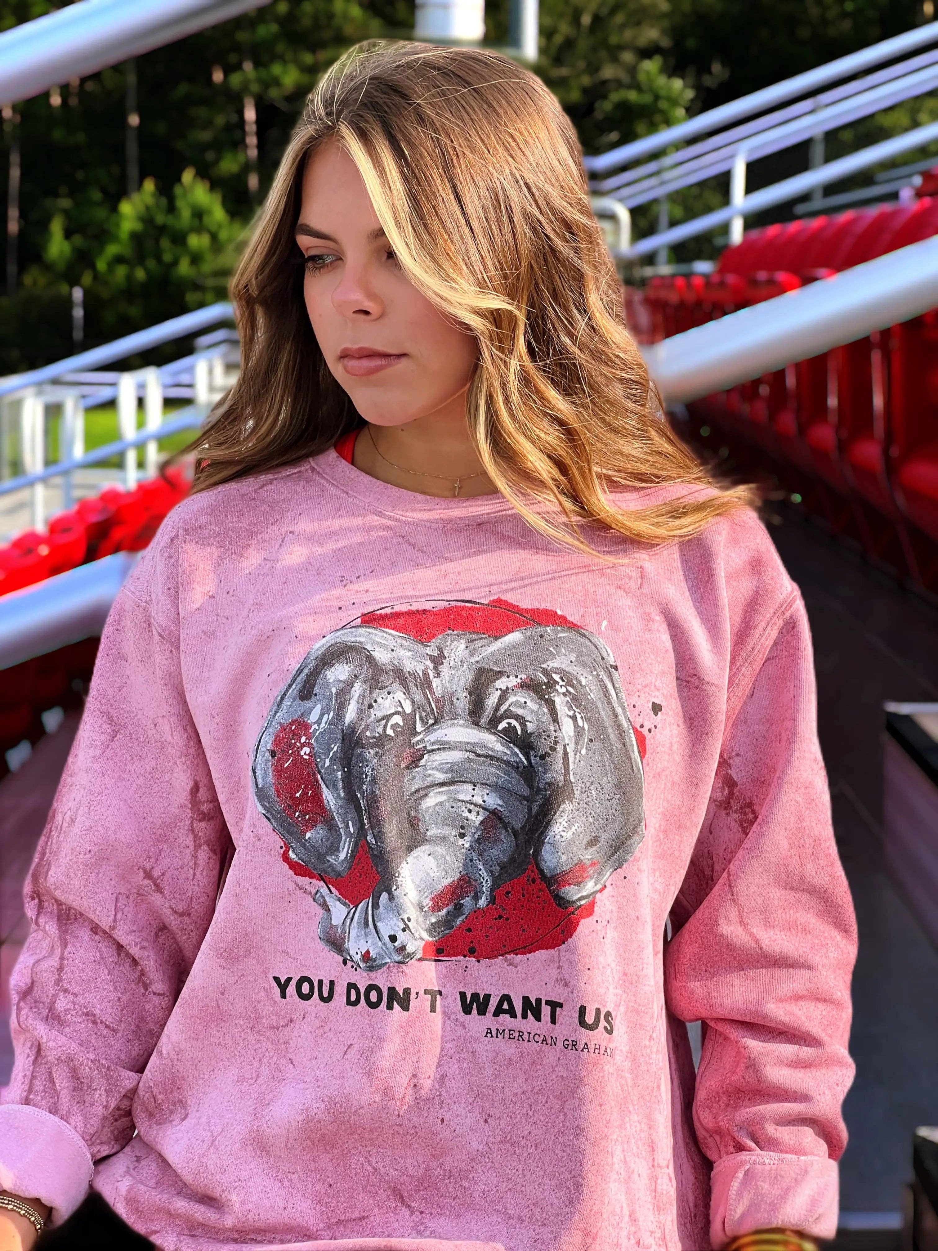 American Graham Apparel - Wholesale Graphic Sweatshirt - Women's - You Don't Want Us Mineral Wash Sweatshirt3