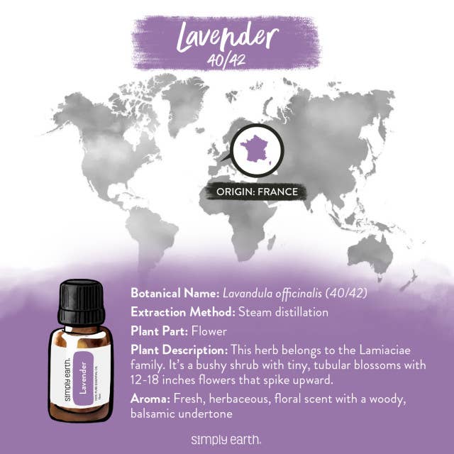 Simply Earth - Wholesale Essential Oil - Lavender 40/42 Essential Oil Blend3