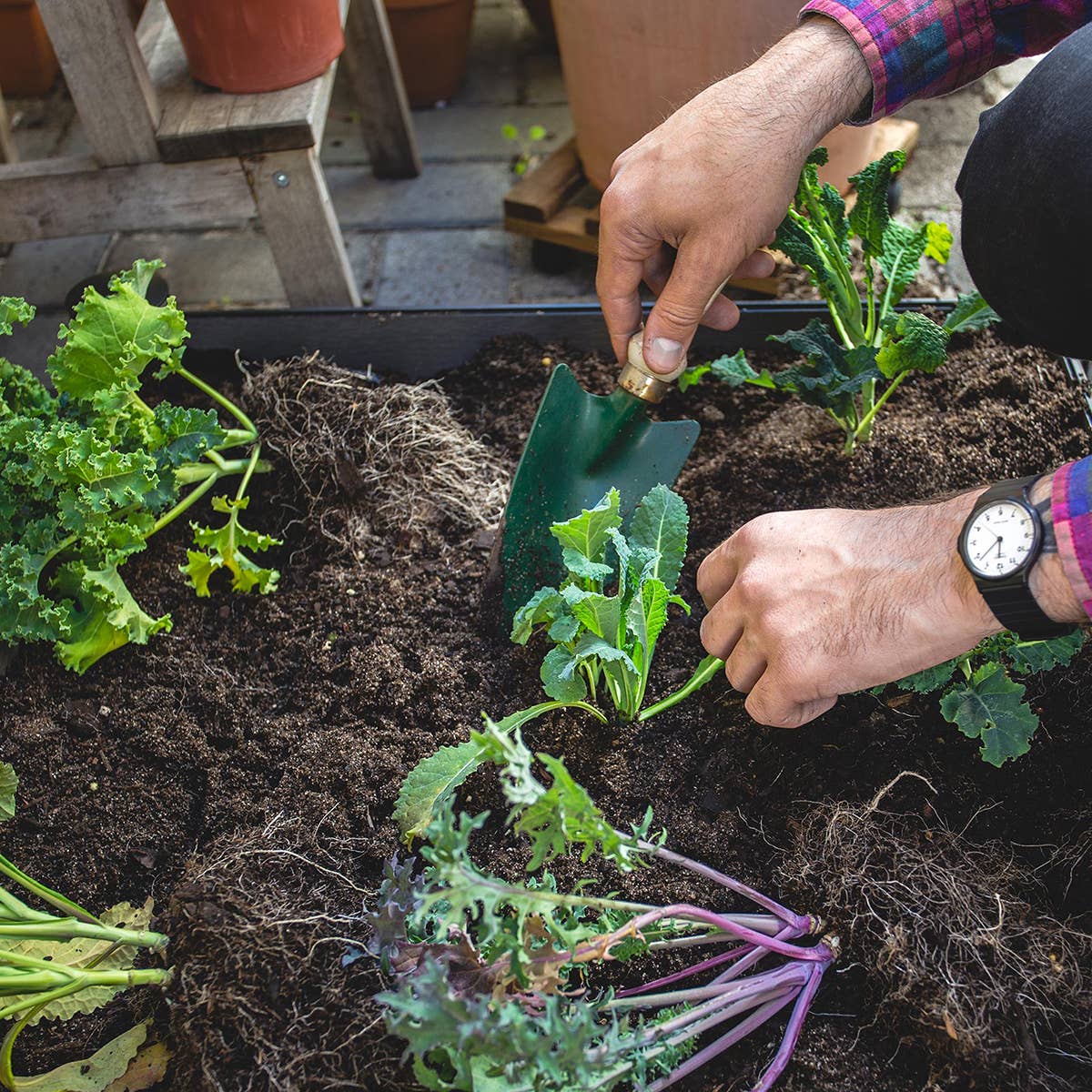 Watex - Wholesale Planter box - Watex Modular Garden Bed w/ Irrigation2