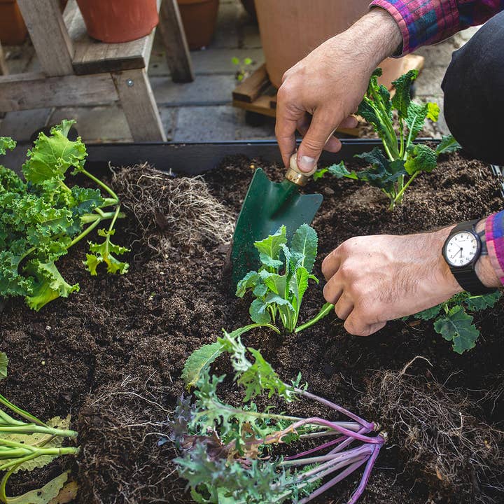 Watex - Vendita all'ingrosso Fioriere - Letto da giardino modulare Watex con irrigazione2