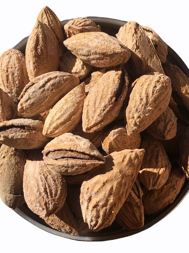 Kokkestørrelse - Ristet saltet mandel for engroshandel hos L' Arbre Persan