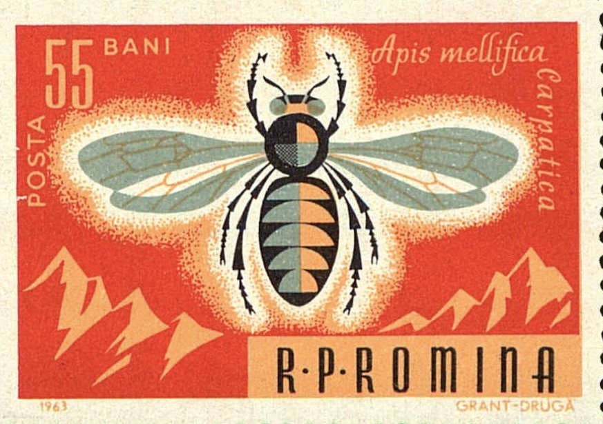 Postage Stamp Jewelry - Wholesale Pendant/Charm Necklace - 1963 Romanian Honey Bee Stamp - Postage Stamp Jewelry - Vintage Postage Stamp Necklace - Antique Bronze3