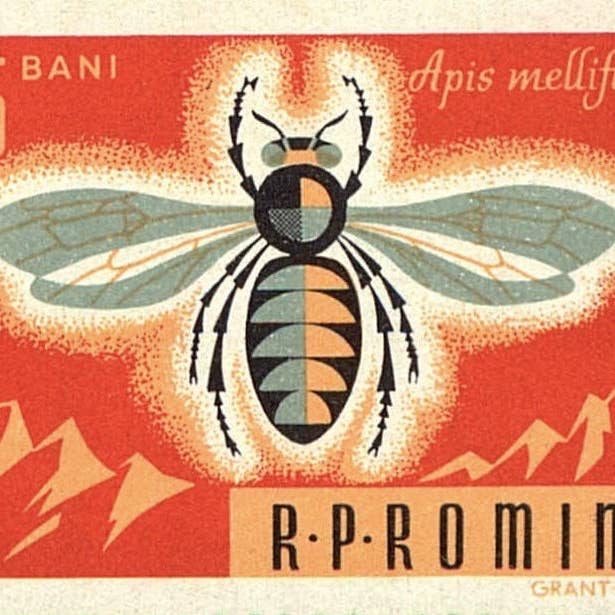 Postage Stamp Jewelry - Wholesale Pendant/Charm Necklace - 1963 Romanian Honey Bee Stamp - Postage Stamp Jewelry - Vintage Postage Stamp Necklace - Antique Bronze3