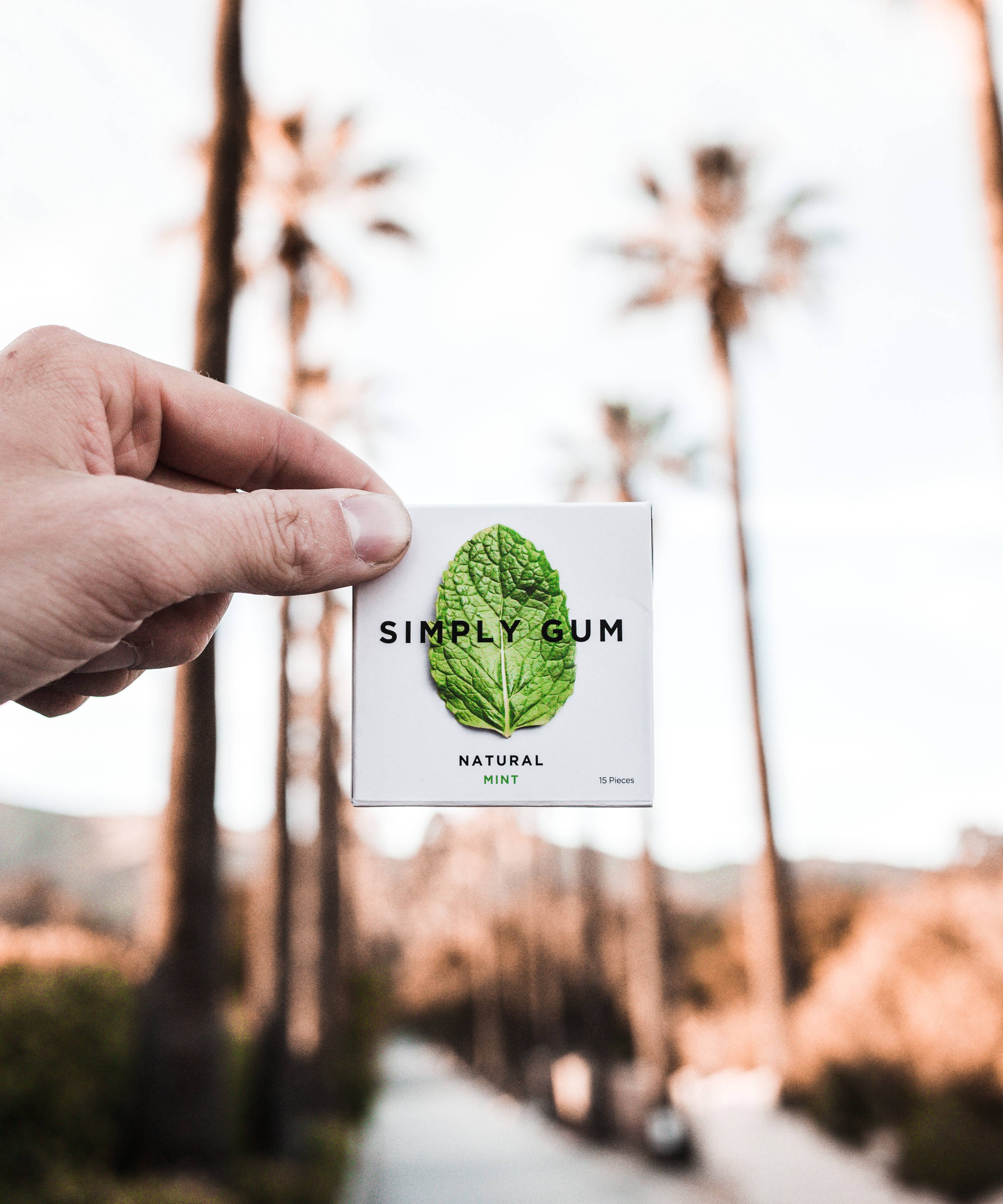 Simply Gum - Wholesale Kauwgom - Pepermuntkauwgom - Natuurlijk en plasticvrij | Verpakking van 126