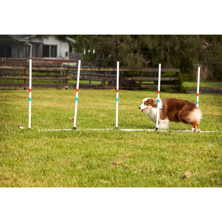 Midlee Designs - Wholesale Pet Toy - Dog - Midlee Dog Agility Beginner Sets- Hoop, Poles, & Bar Jump