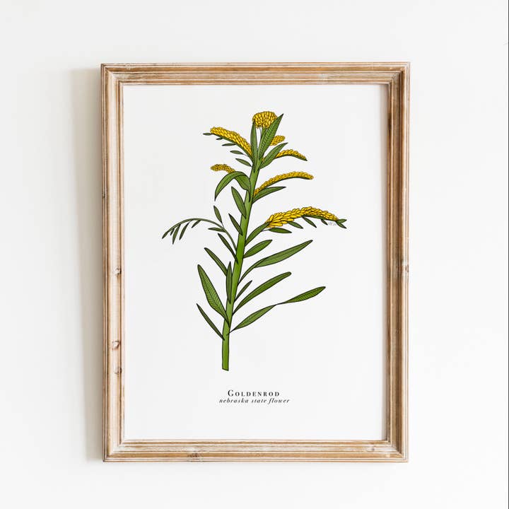 Nebraska State Blumendruck | Goldruten-Print für den Großhandel von Erika Layne Art