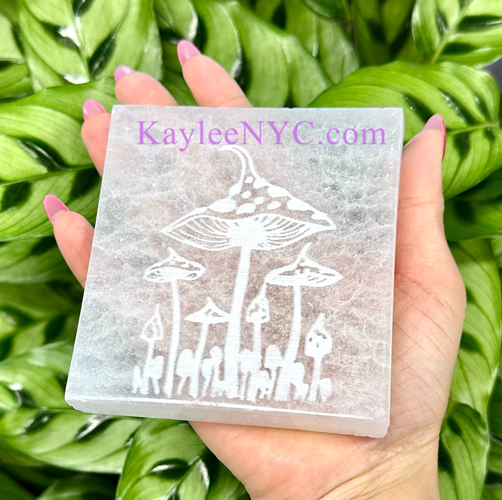 KayleeNYC - Wholesale Crystal Charging Plate - Natural Selenite Satin Spar Mushroom Charging Plate4