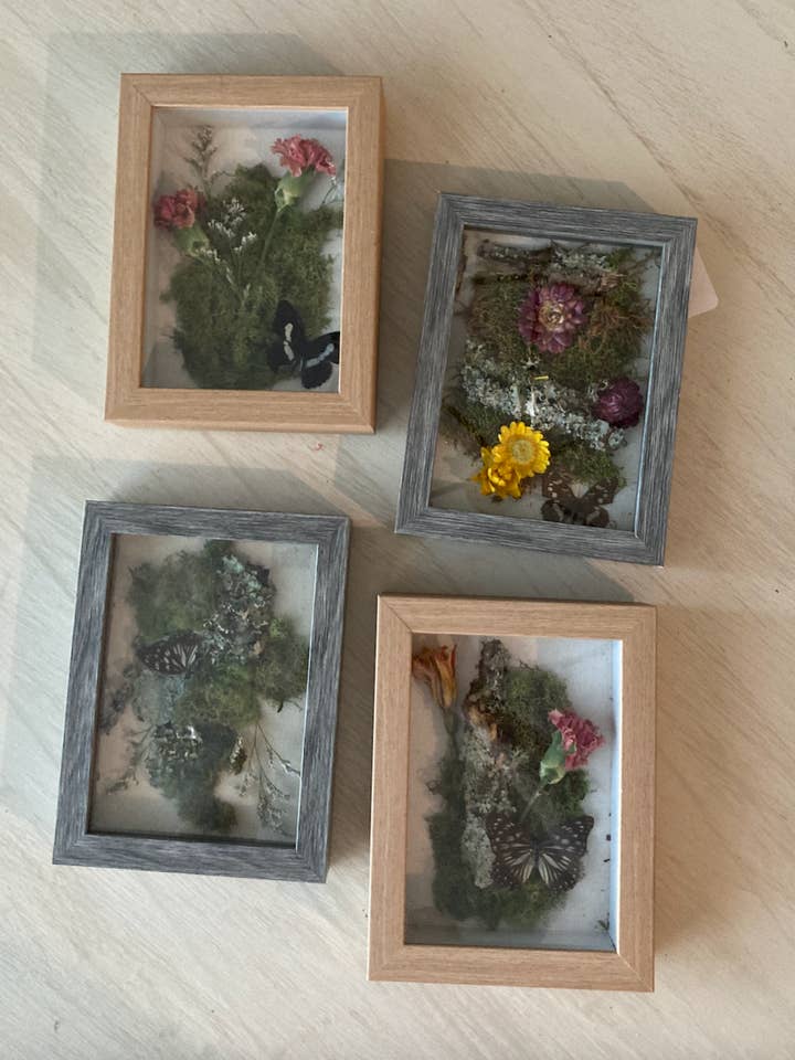 Flore & Faune / Boîte à Ombres Naturelle (Petite) pour la vente par Budding Flowers Art