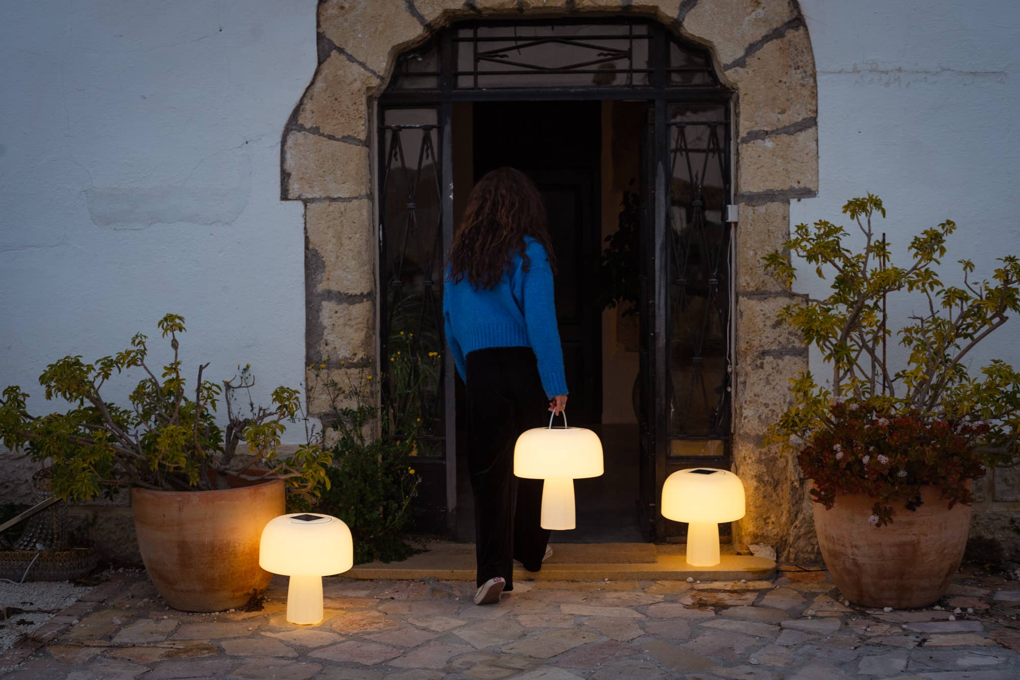 Goodnight Light - Wholesale Accent/Desk Lamp - The Boleti Lamp - Solar powered, portable lamp14