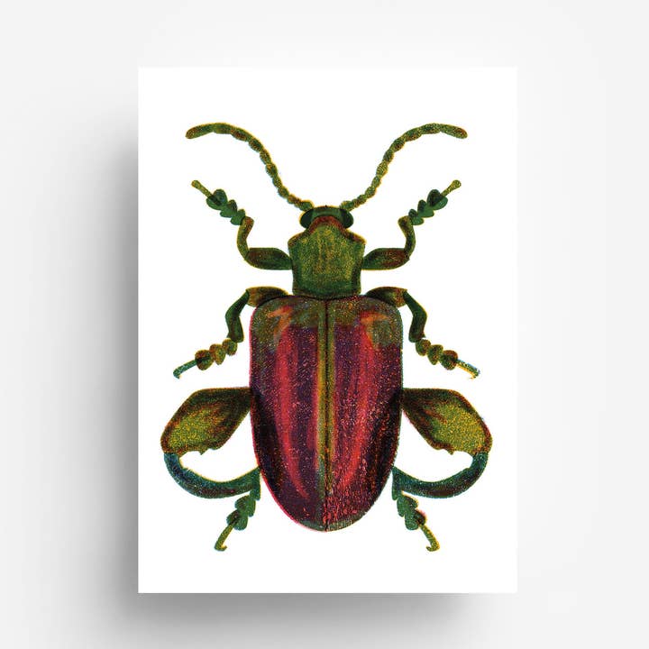 Postkaart met poten en grote poten DIN A6 voor wholesale door jungwiealt