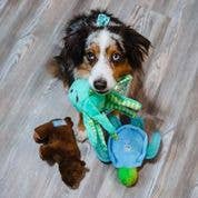 Spunky Pup – Engroshandel Tøjdyr - Hund – Spunky Pup Clean Earth plyslegetøj – 100 % bæredygtigt og genanvendt25