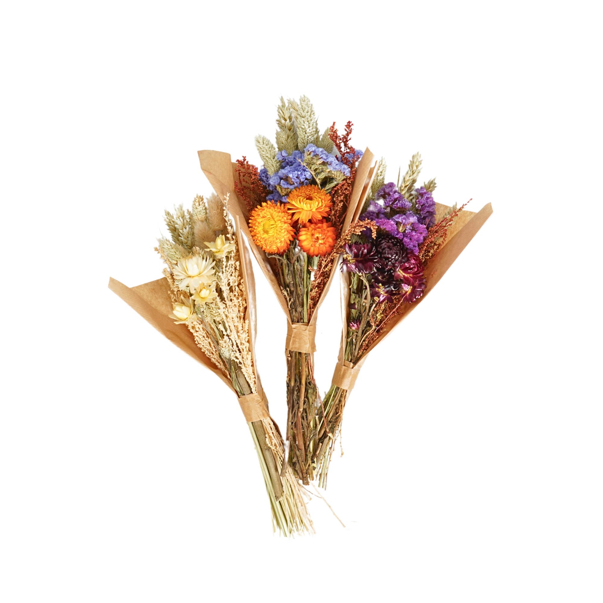 Wildflowers by Floriette - Vendita all'ingrosso Fiori secchi/pressati - Fiori secchi - Field Bouquet Mini Mix0