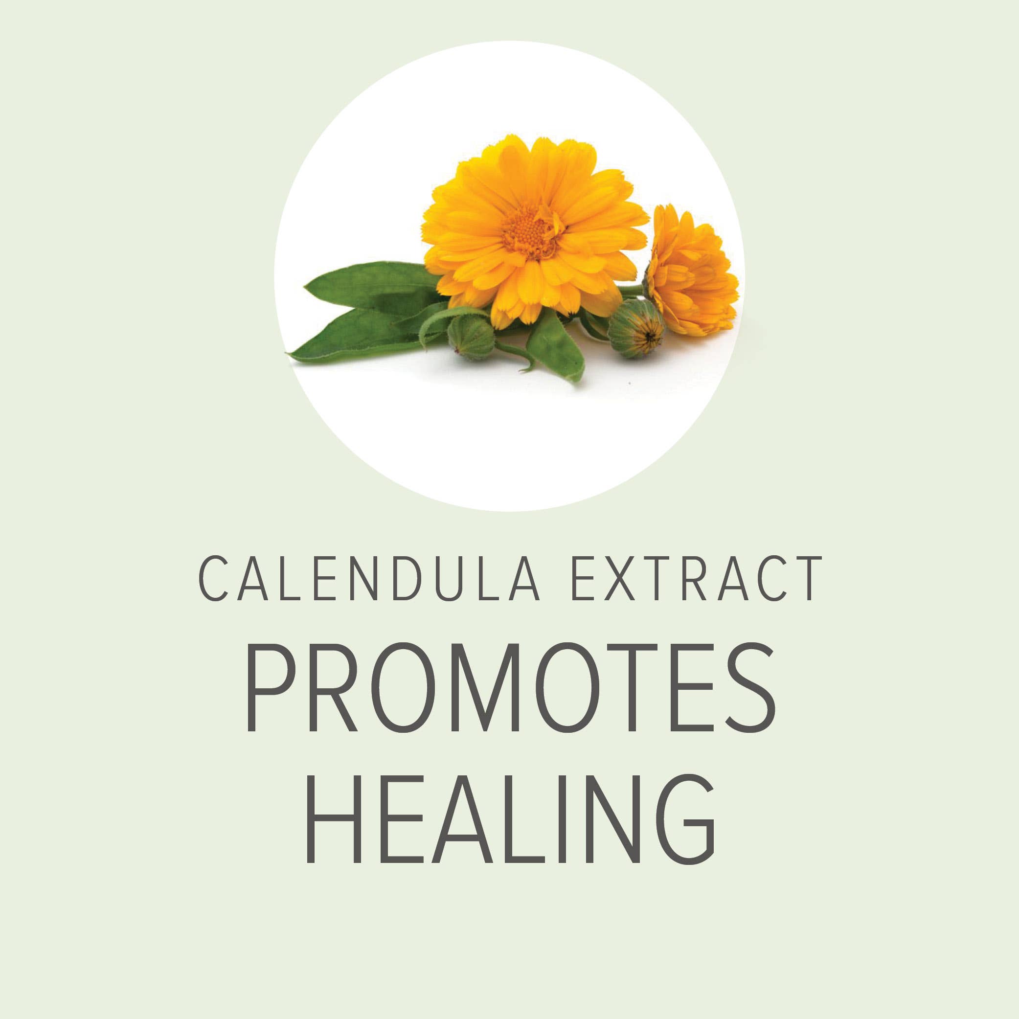 Pure and Natural Pet - Vente Shampoing – chien - Shampooing Thérapeutique Apaisant pour la Peau des Chiens - 3,78 litres (1 gallon)2