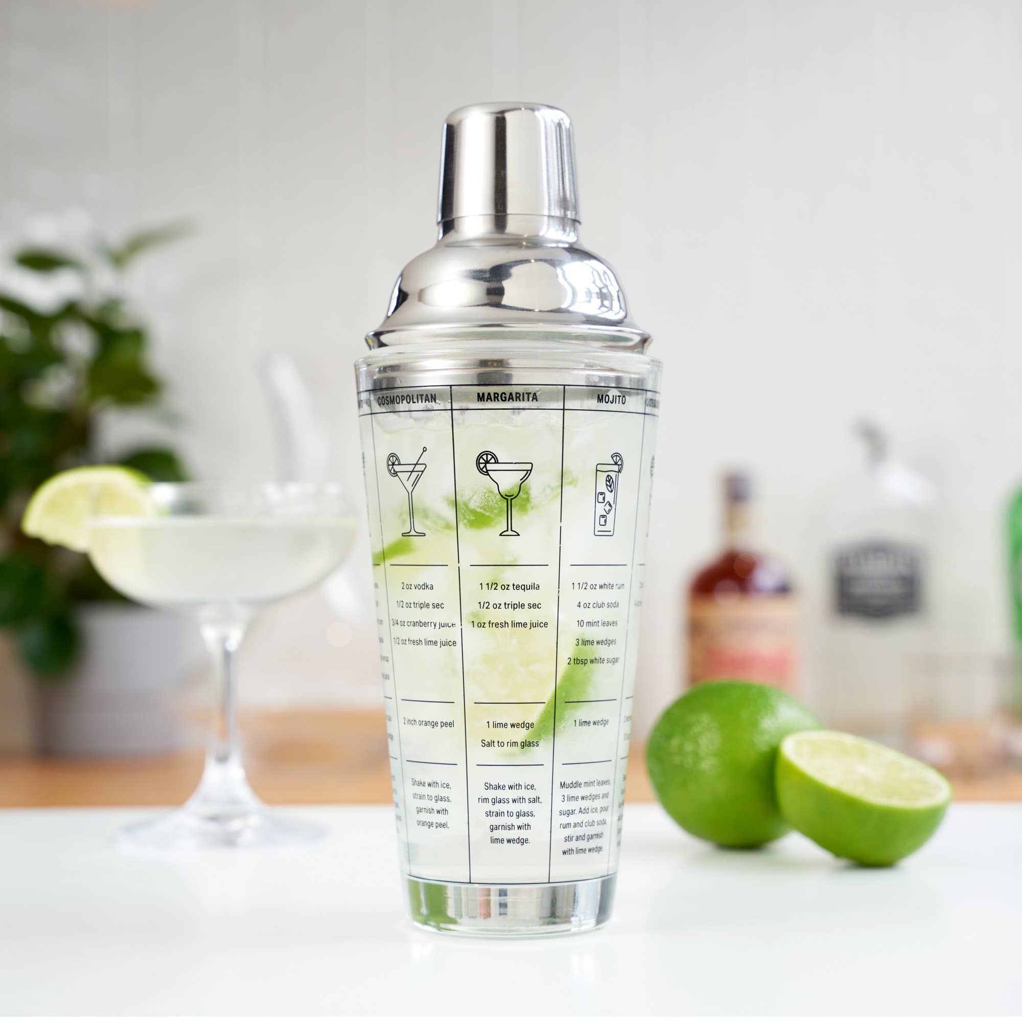 TRUE - Wholesale Cocktail Shaker - 7 Cocktail Recipe Stainless Steel and Glass Shaker 13.5 oz2