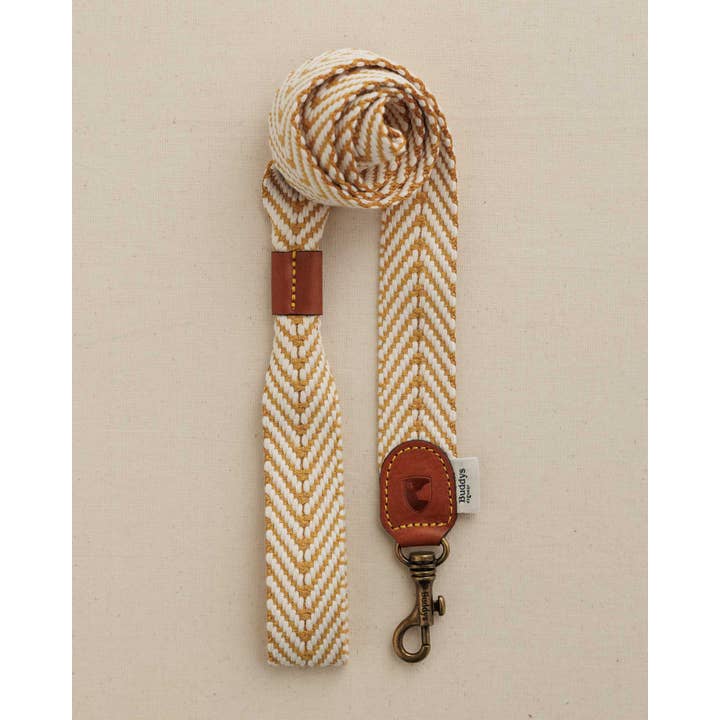 Buddys dogwear - Wholesale Pet Collar - Dog - Dog Collar Portixol Sun Collar // Summer Edition //Â