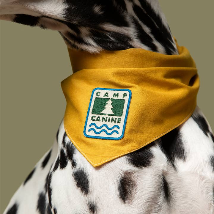 Scout's Honour - Wholesale Pet Bandana - Dog - Camp Canine iron-on patch for dogs
