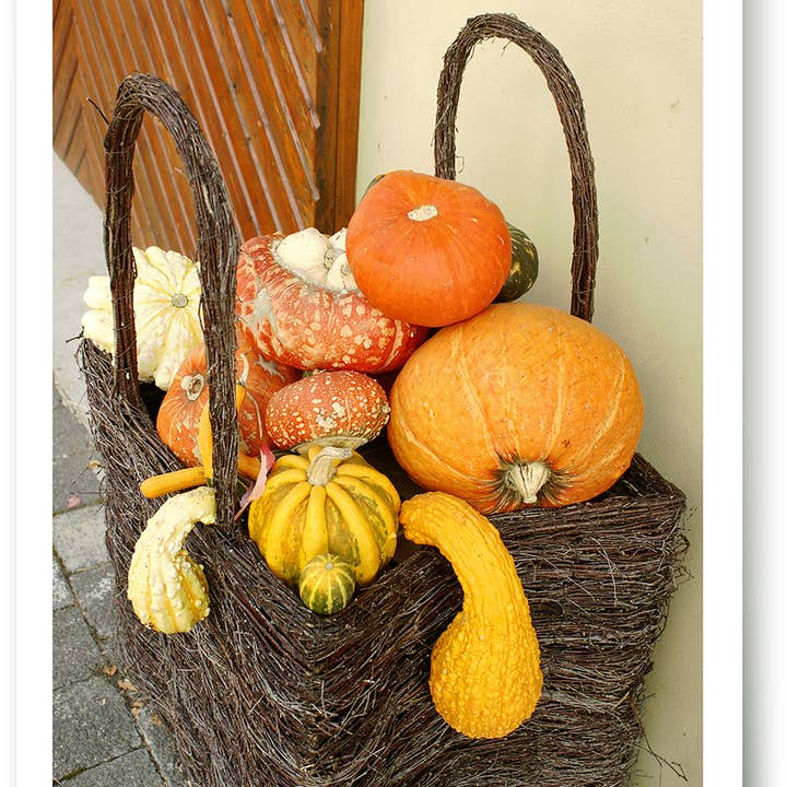 Blankt kort/lykønskningskort/efterår/499009 for engroshandel hos Yabué