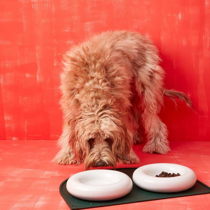 Gamelle en céramique blanche pour chien et autres tendances Résultats pour automatique chien en vente B2B. Retours gratuits et paiement à 60 jours sur Faire sur Faire.