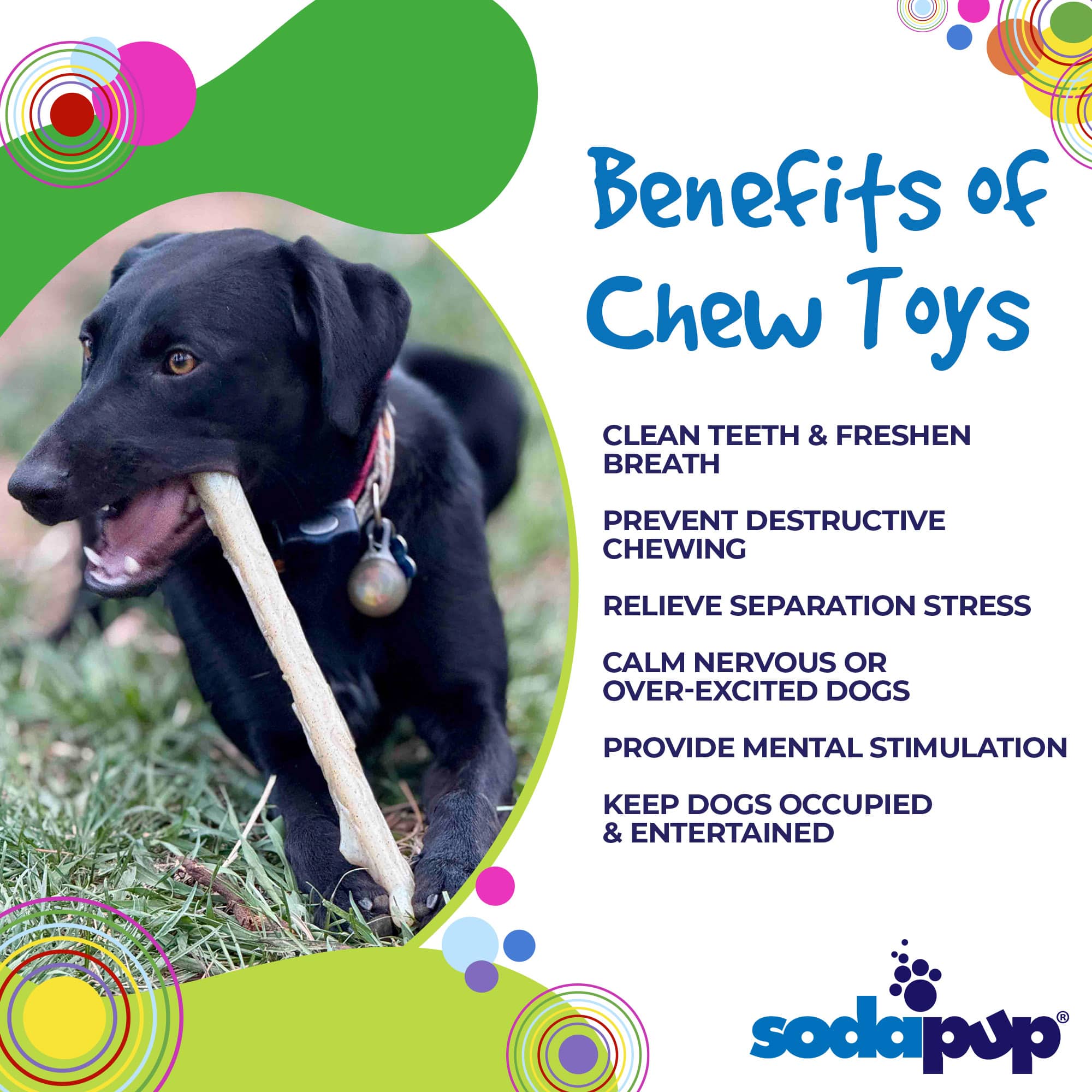 SodaPup Dog Toys - Wholesale Pet Chew Toy - Dog - Durable Nylon Chew Stick3
