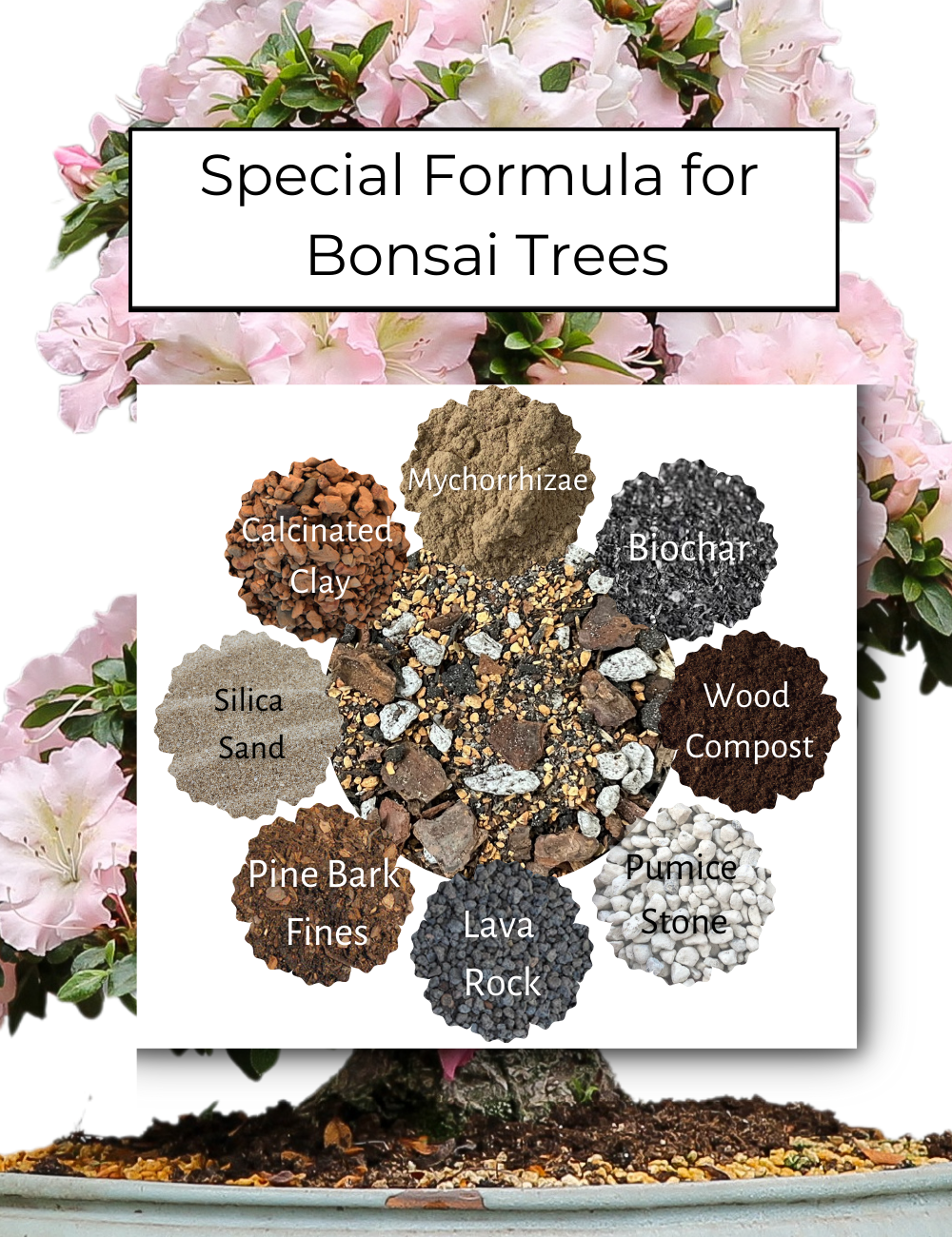 Happy Bunny Farms - Vendita all'ingrosso Terriccio per piante/vasi - Terriccio Premium Bonsai Bliss per Alberi Bonsai, 2QT1