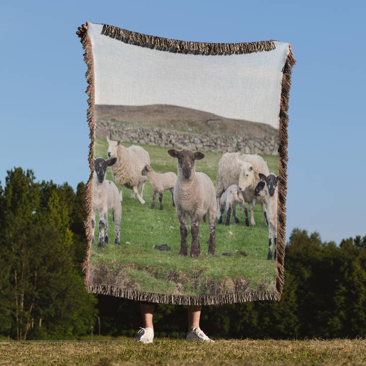 3dRose – wholesale Throw blanket – 3dRose, Shetland Sheep, a traditional breed of the Northern Isles, Scotland. , Blanket1