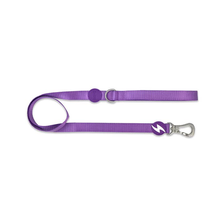 Solid Purple Leash for wholesale by DASHI