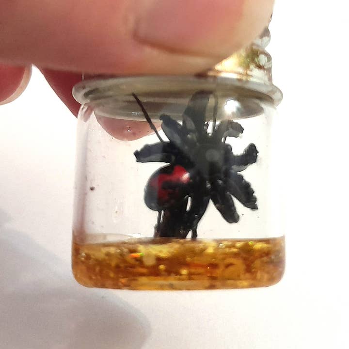 SUPERAWWWSOME - Wholesale Decorative Jar - Spider Specimen Bottle Black Widow Dollhouse Mini Halloween8