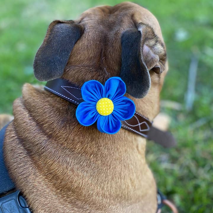 Blue Collar Flower Pet Accessory for wholesale by Darcy's Canine Designs
