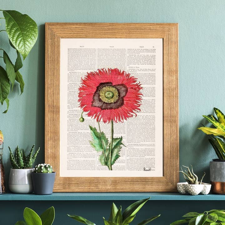 Arte botanica fiore papavero per la vendita all'ingrosso da parte di PRRINT!