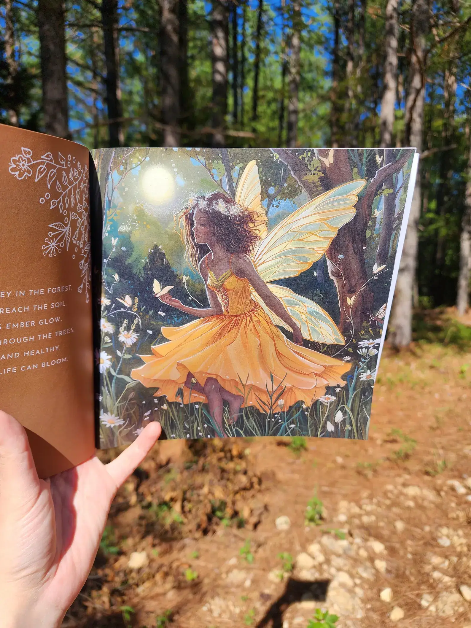 Author Linda Blackmoor - Wholesale Preschool Book (3-5) - Fairies of the Forest5