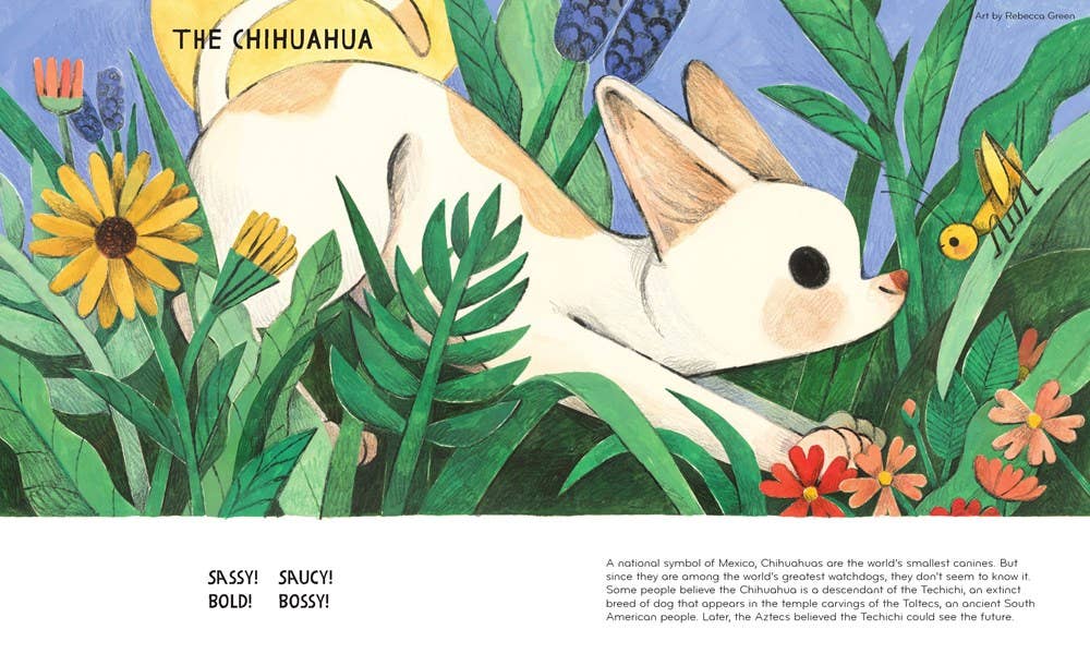 HarperCollins - Wholesale Pet  Book - Best in Show : David Elliott3