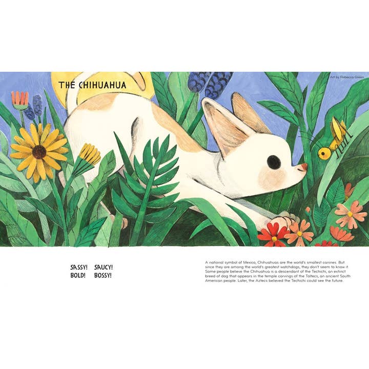 HarperCollins - Wholesale Pet Book - Best in Show : David Elliott3