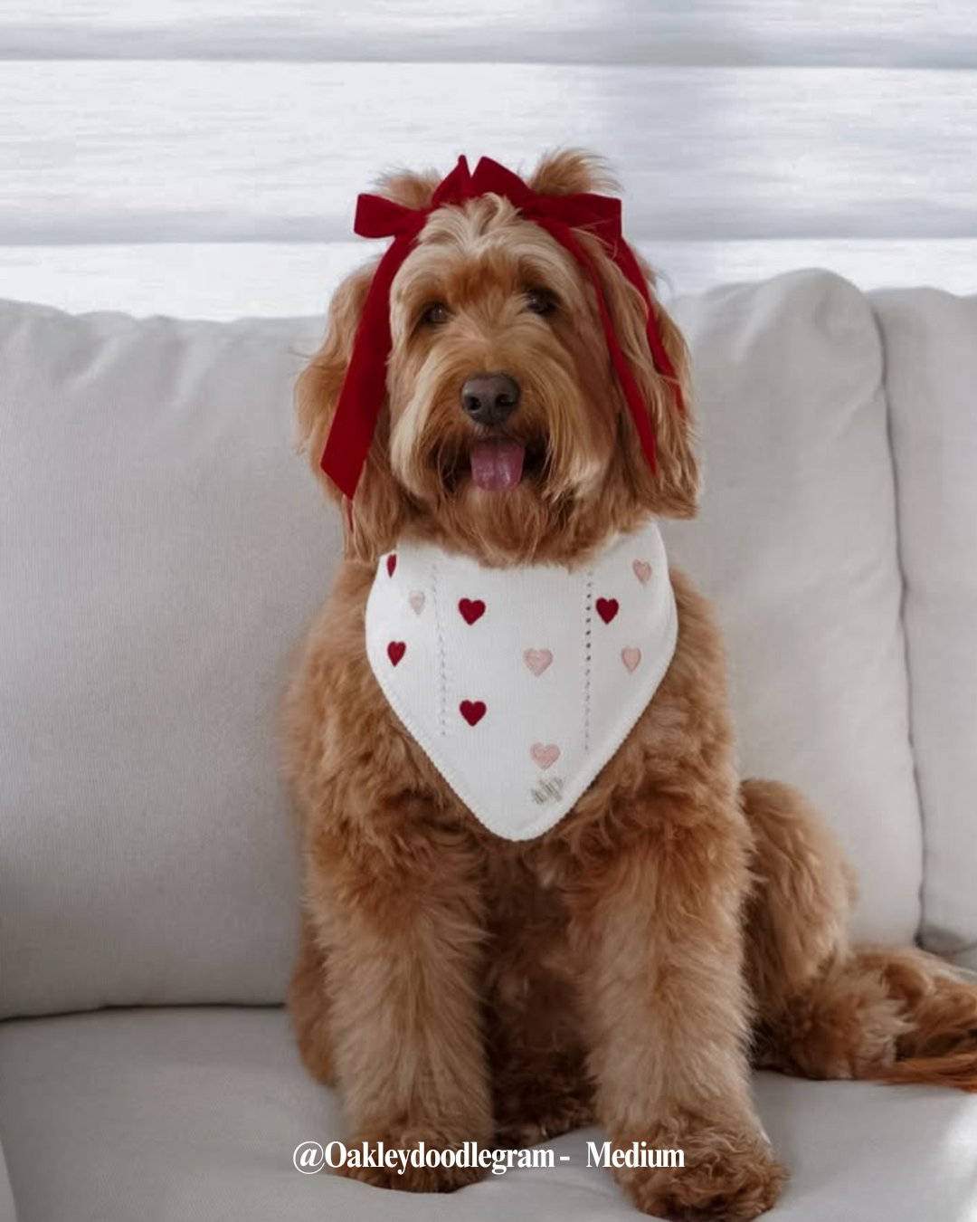 The Deluxe Pup - Wholesale Pet Bandana - Dog - BANDANA | CHÉRIE11