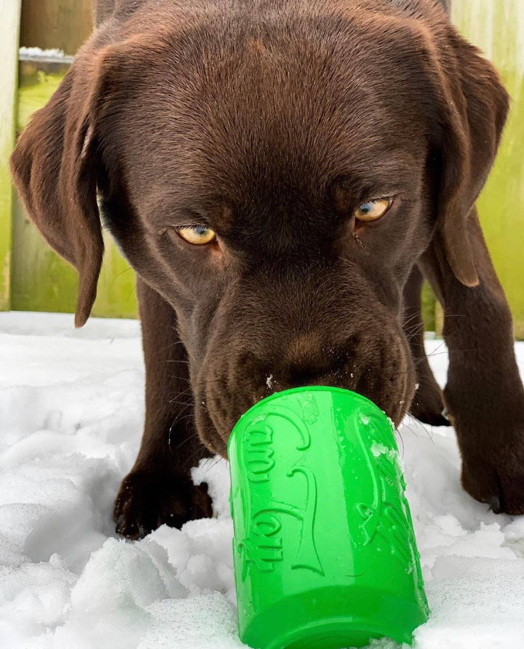 Rover Pet Products - Vente Jouet à mâcher – chien - Canette Toy8