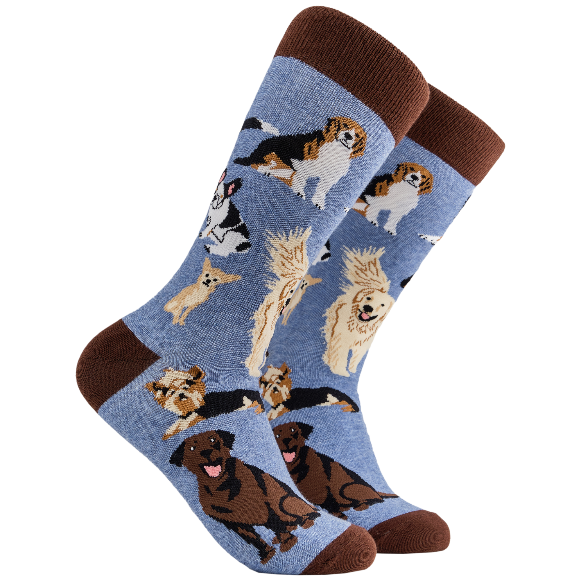 Socktopus - Vendita all'ingrosso Calzini - Unisex - Calzini Dog Lover 20