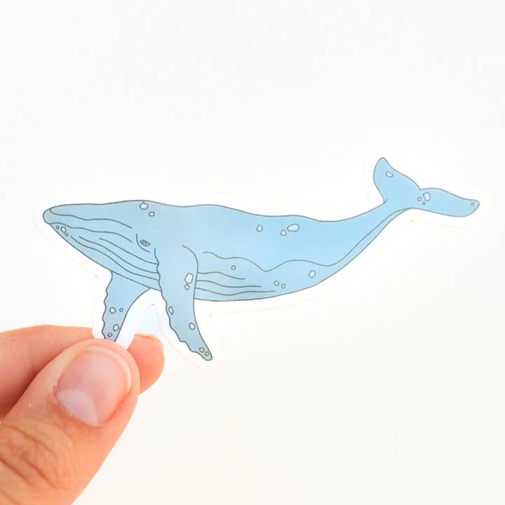 Autocollant en vinyle Baleine bleue pour la vente par Union Made