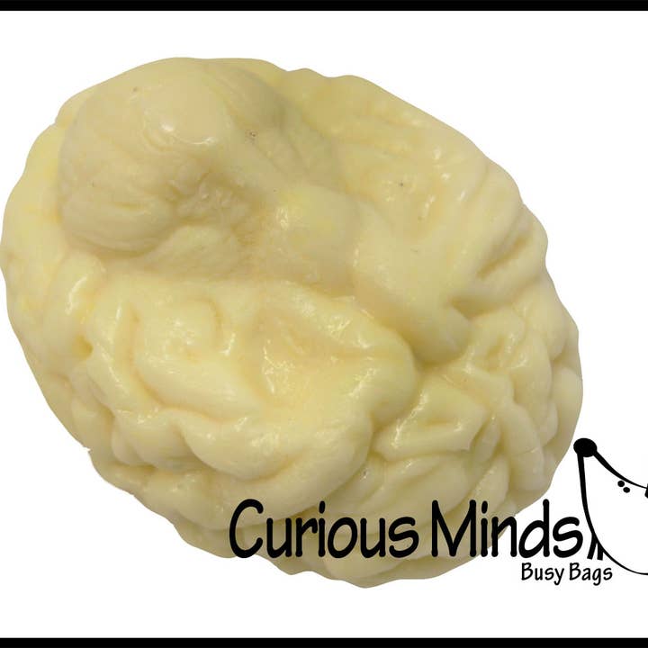 Curious Minds Toys - Wholesale Squishy Toy - Kids & Baby - 1 Brain Squishy Sticky Stress Ball - Body Parts - Anatomy2