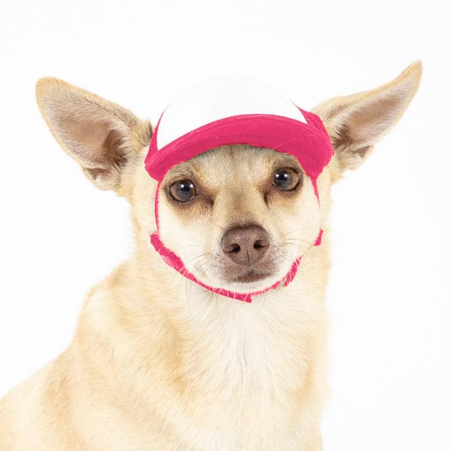 PupLid – wholesale Hatt - Hund – Blank Foam truckerkeps för hundar3