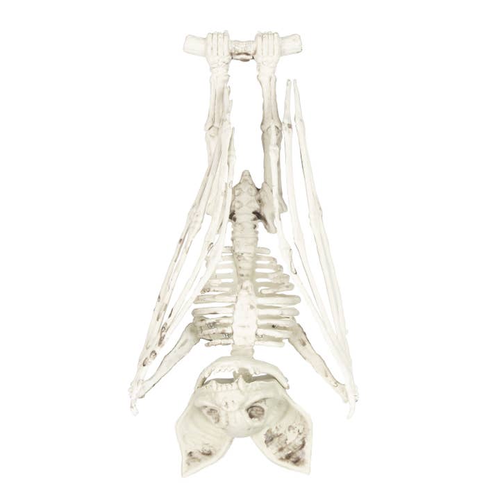 Party Pro - Wholesale Decorative Figurine - BAT SKELETON 27CM