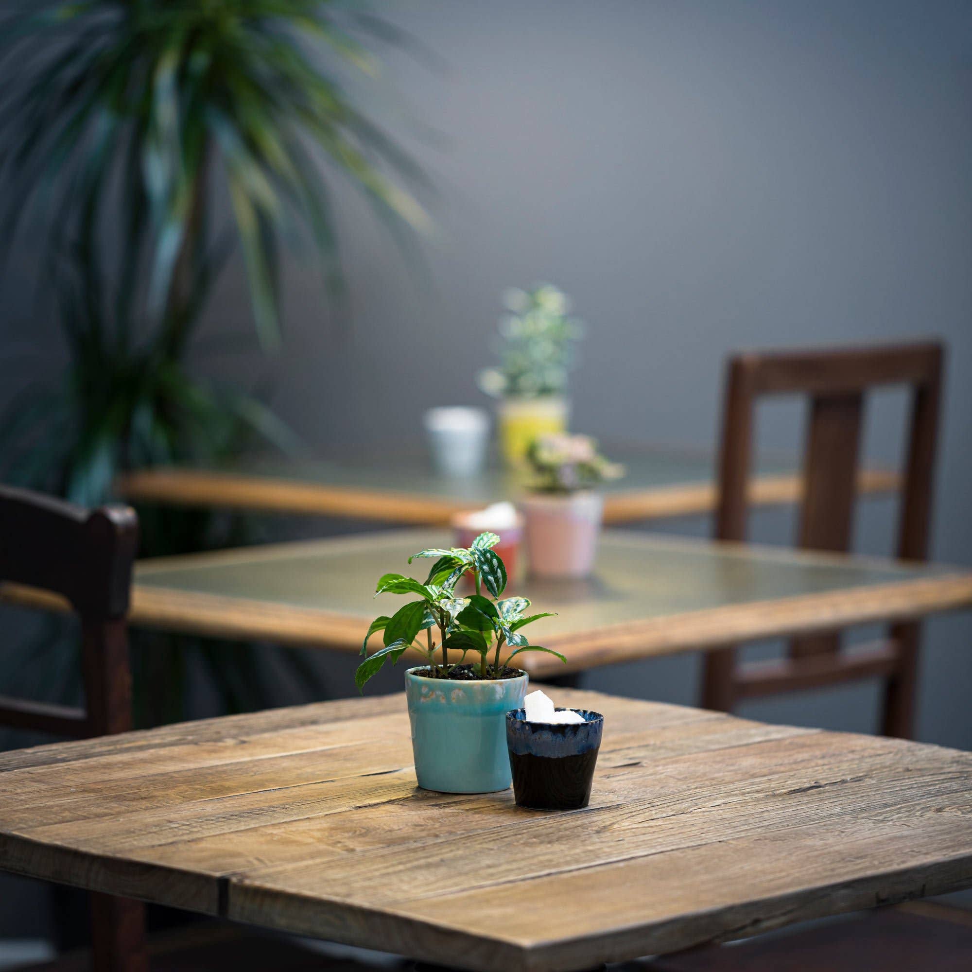 Yellow Grespresso LSC081 Lungo Cup 21cl for wholesale on Faire2