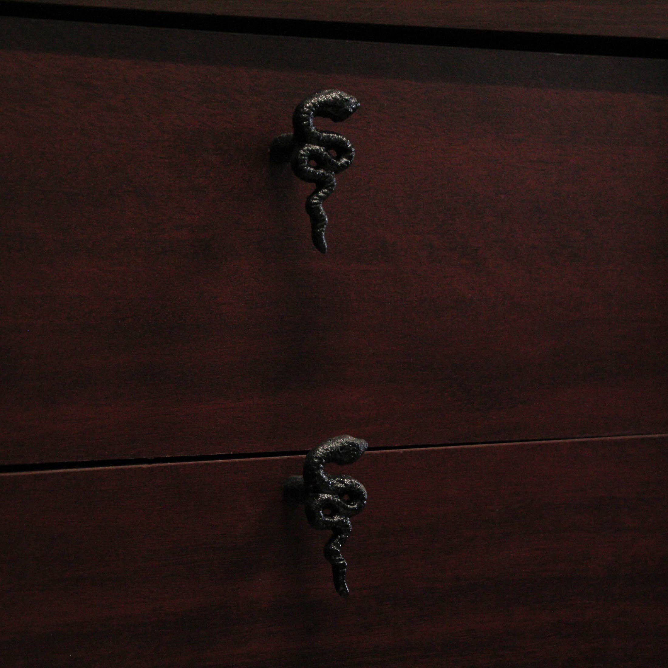 Zeckos - Wholesale Knob/Pull - Gothic Black Cast Iron Snake Drawer Knobs 6 Piece Set5