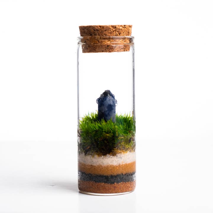 Ecodecs - Wholesale Terrarium - Self-sufficient terrarium with mineral - Miniterra3