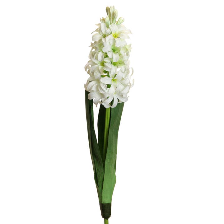 Jacinthe 44 cm blanc pour la vente par Floratexx