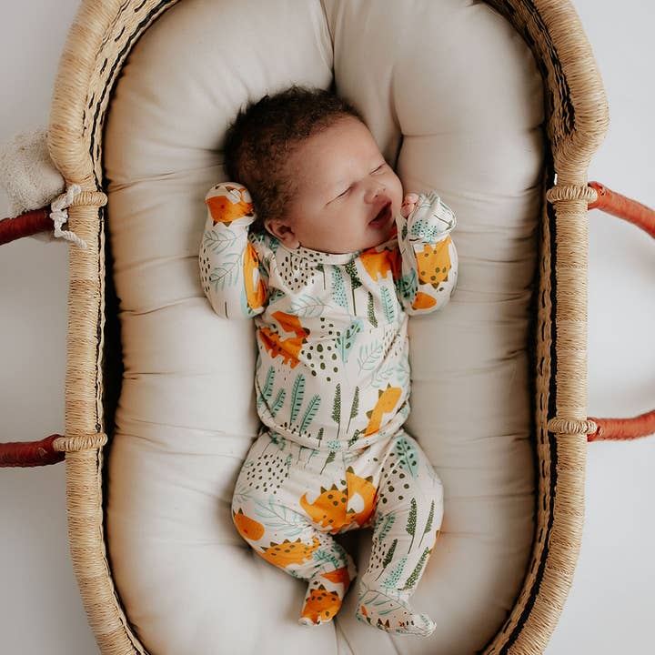 Three Little Tots – Großhandel Schlafanzug-Set – Kinder – Dinosaur Jammies Pyjama & Loungewear für Kinder20