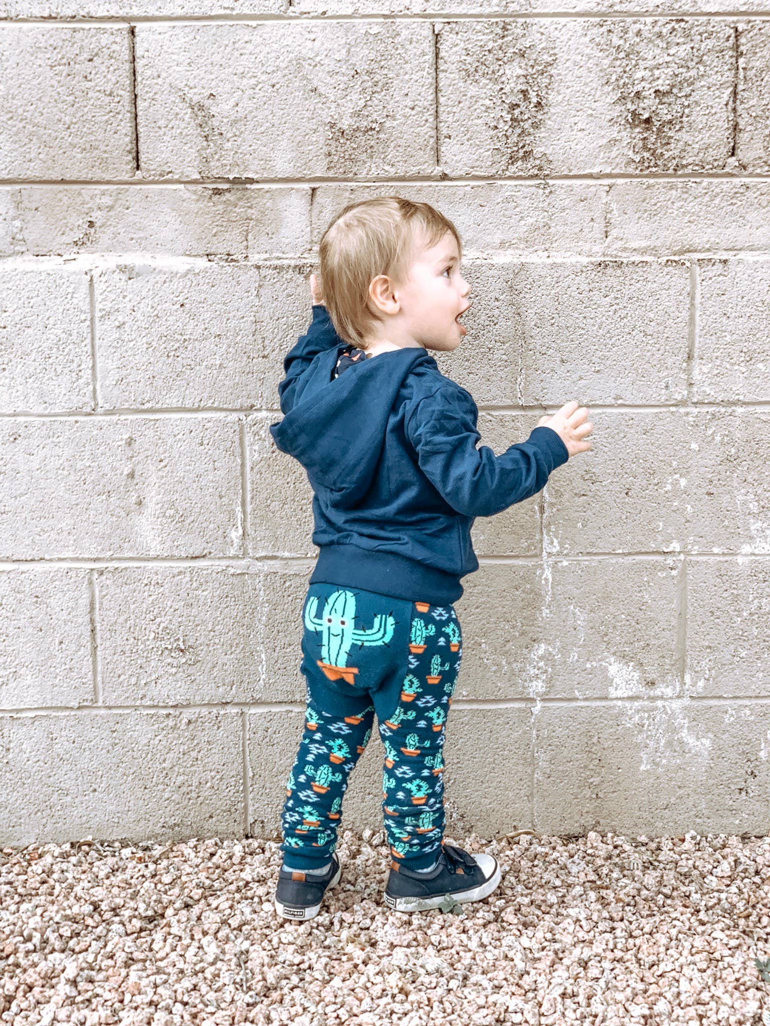 Doodle Pants - Vendita all'ingrosso Felpa con cappuccio - Bambini - Felpa con cappuccio Western Prickly Cactus per bambini e bambini2