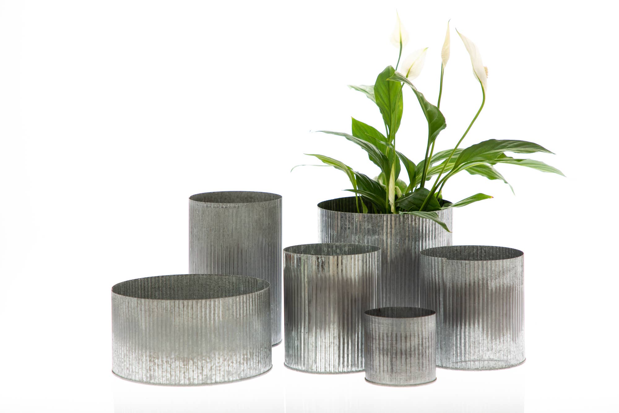 UNIMIX FLORAL – wholesale Vase – Tin Galvanized Pot Wedding, Event & Everyday 5"x5"7