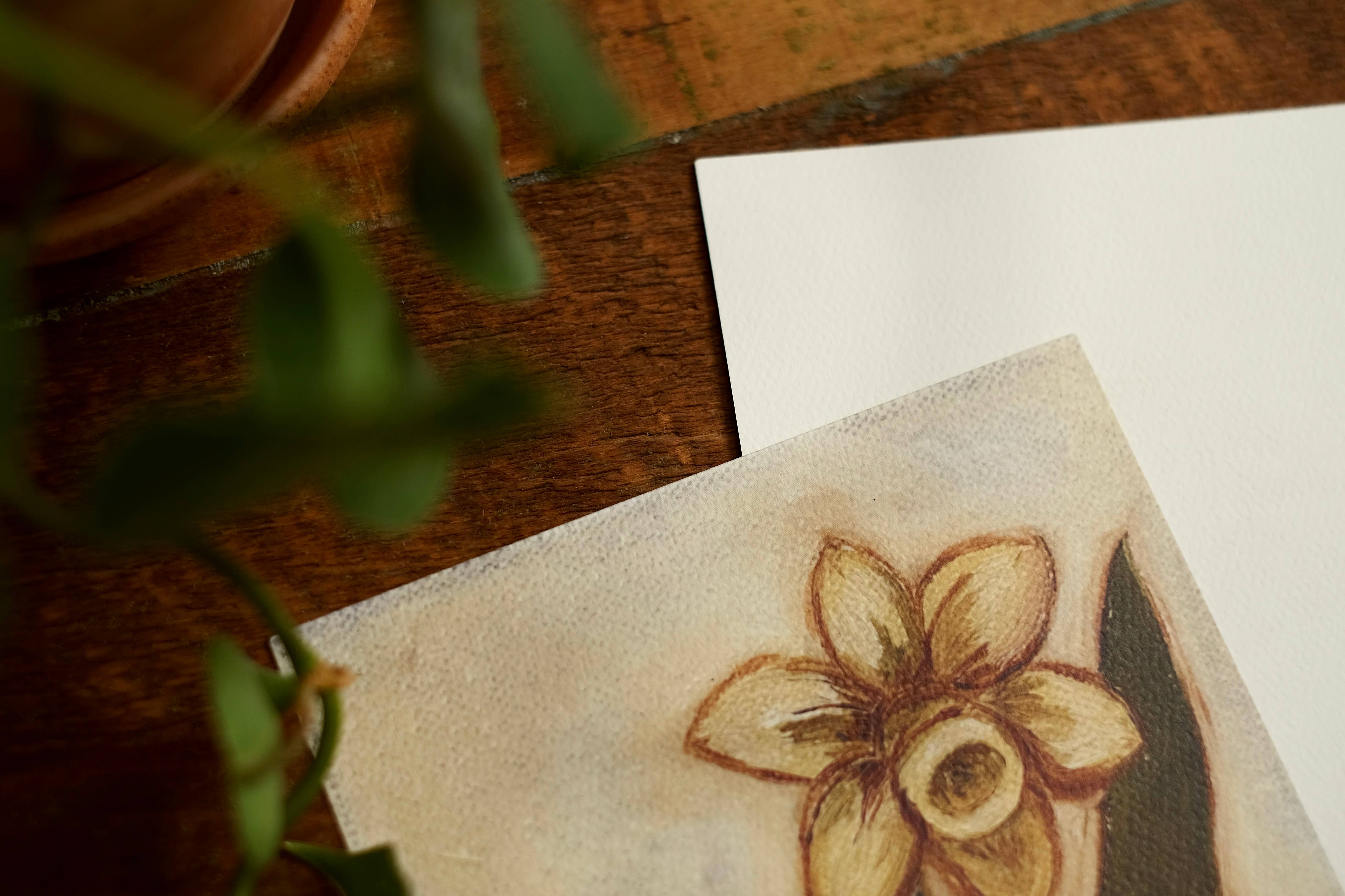 annalisa v. sawtell - Wholesale Art Print - January Birth Flower Fine Art Print | Carnation | 5x72