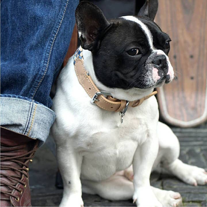 Blueberry Pet - Wholesale Pet Collar - Dog - 2 Colors, Braided Full Grain Leather Dog Collar